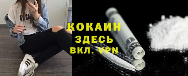 твердый Горняк