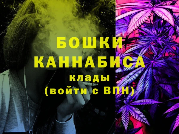 твердый Горняк