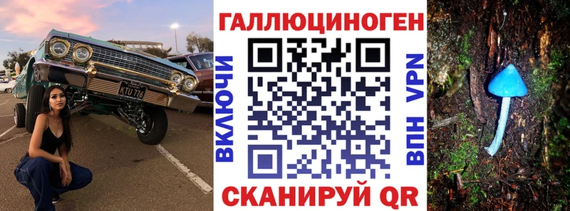 Псилоцибиновые грибы MAGIC MUSHROOMS  Купить закладки  Теберда 