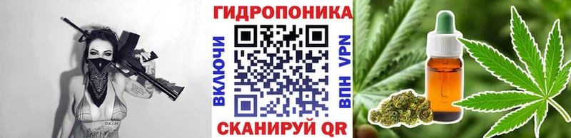 Купить  Теберда  Шишки марихуана планчик 